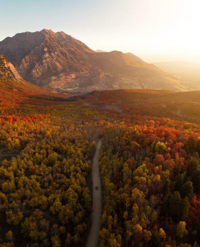 timp flipped