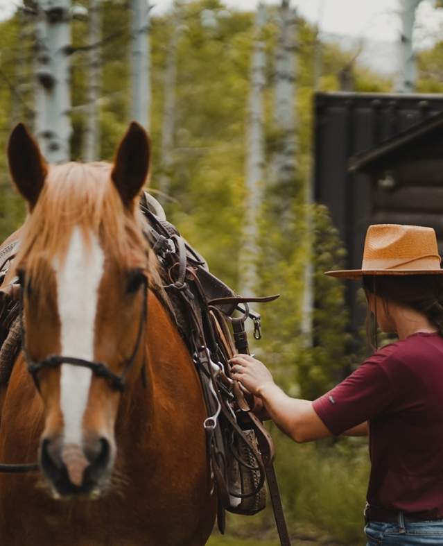 Woman next to horse in the wilderness