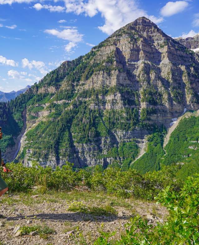 Timpanogos