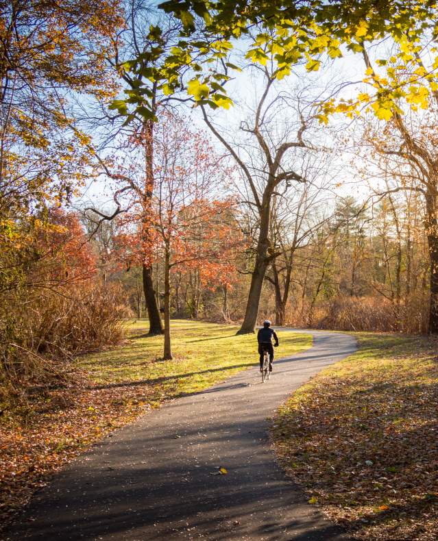 Bronx River Cyclist