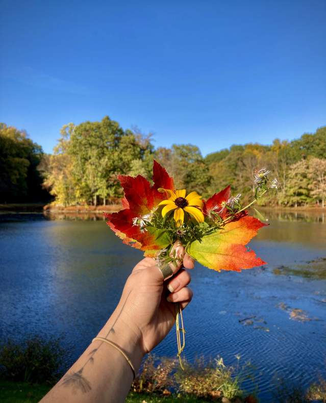 A person holds up a grouping of leaves.