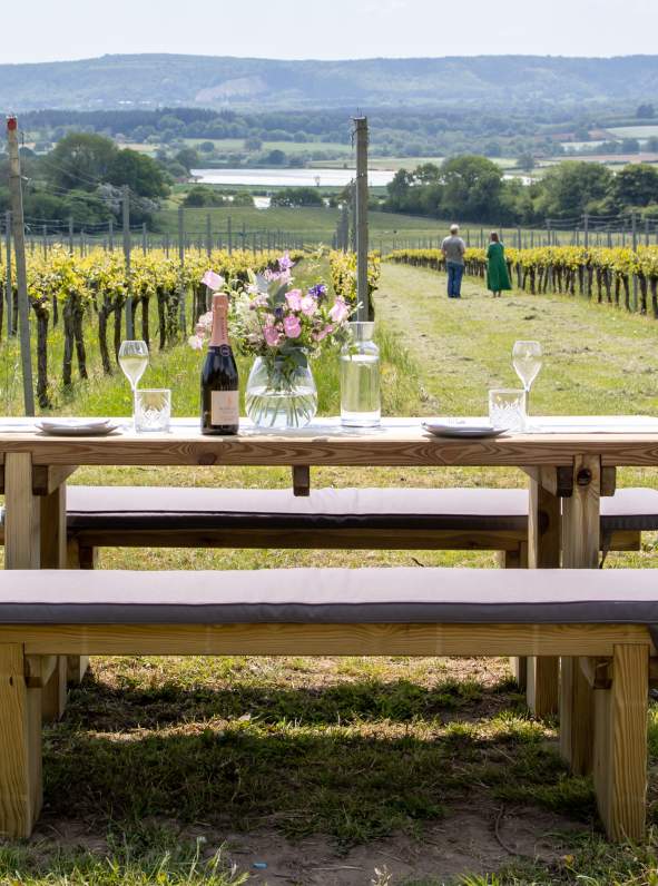 A bottle of English sparkling wine and flowers on a picnic bench at Roebuck Estate vineyard, with vines in the distance