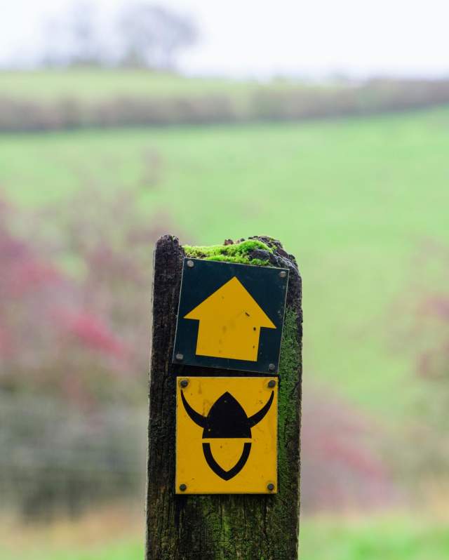 A Viking Way sign on a wooden post in the Lincolnshire Wolds countryside.