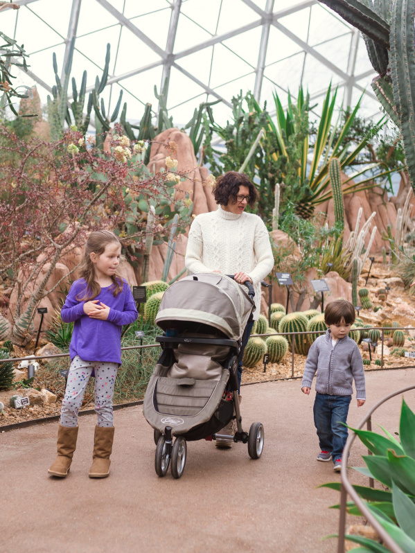A family walking through the Mitchell Park Domes admiring the flora.