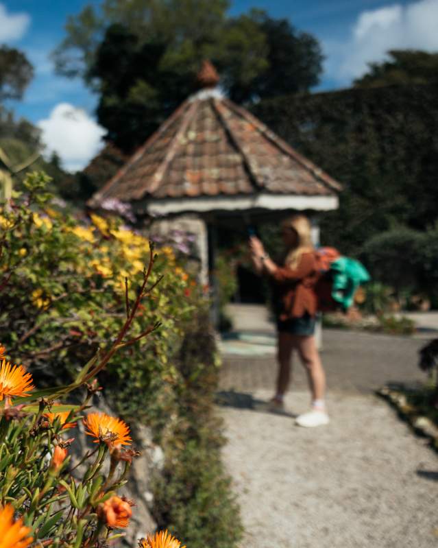 Aisles of flowers in front of the gazebo at Tresco Abbey Garden