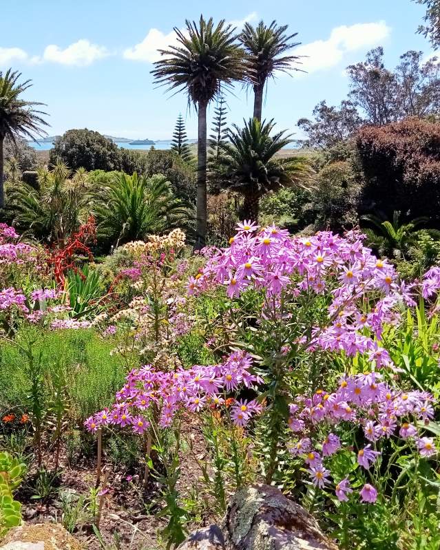 Tresco Abbey Garden