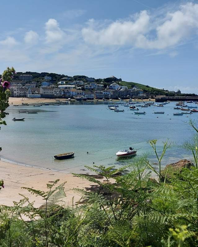 Town Beach from Mincarlo