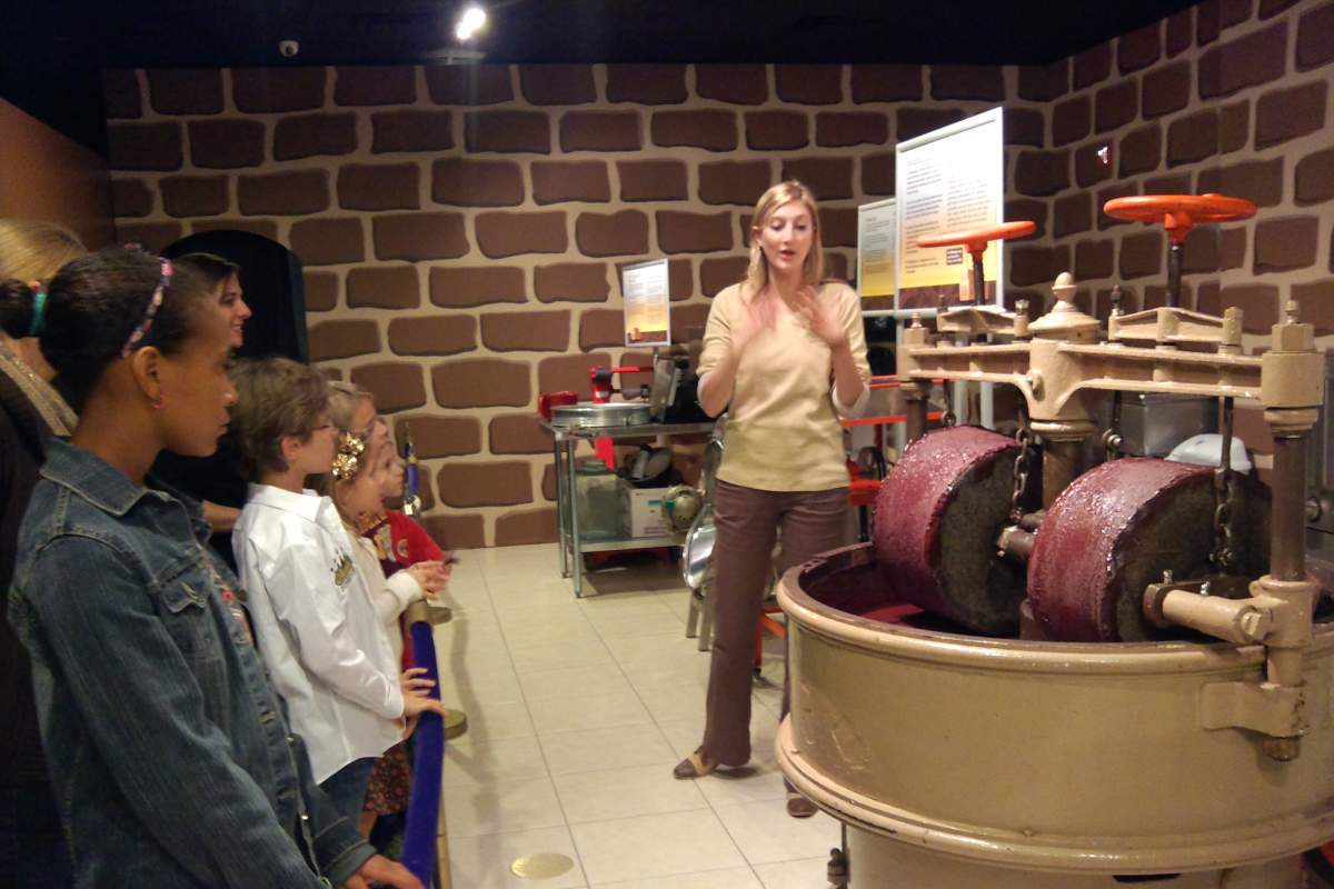 Chocolate Kingdom - Interactive Factory Adventure Tour