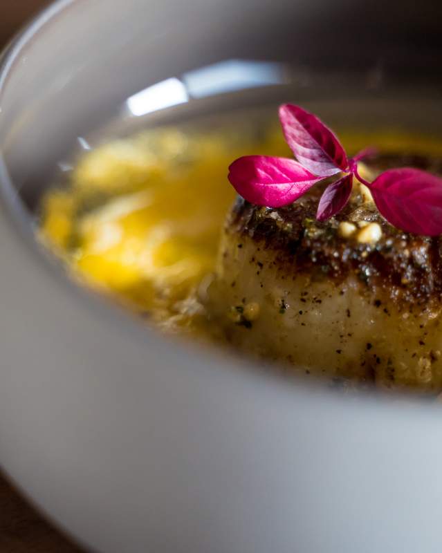 Dish at Grey Sweater