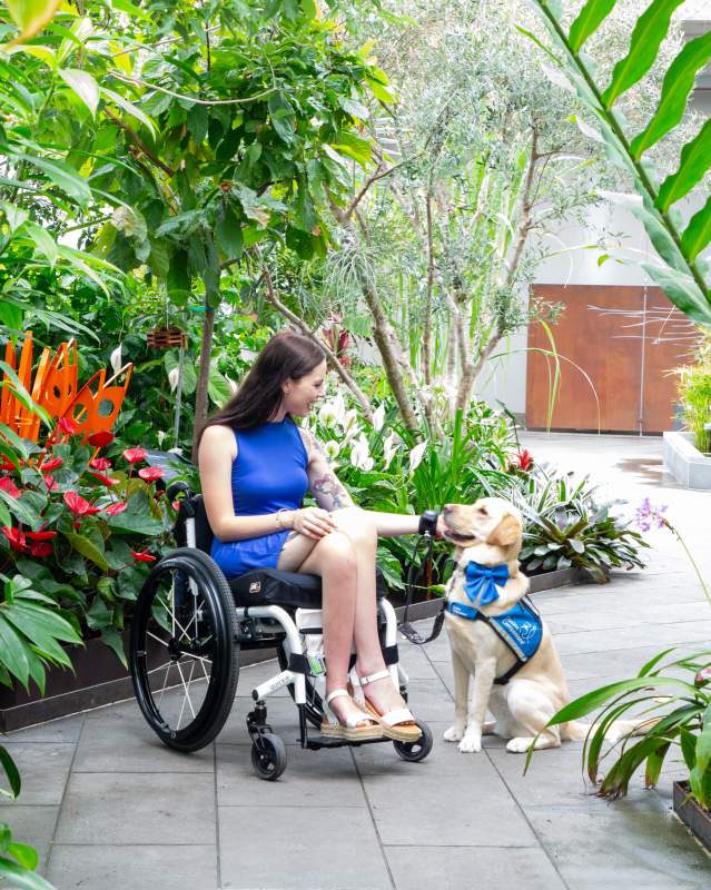 Girl in a wheelchair with her service dog in the Crystal Bridge
