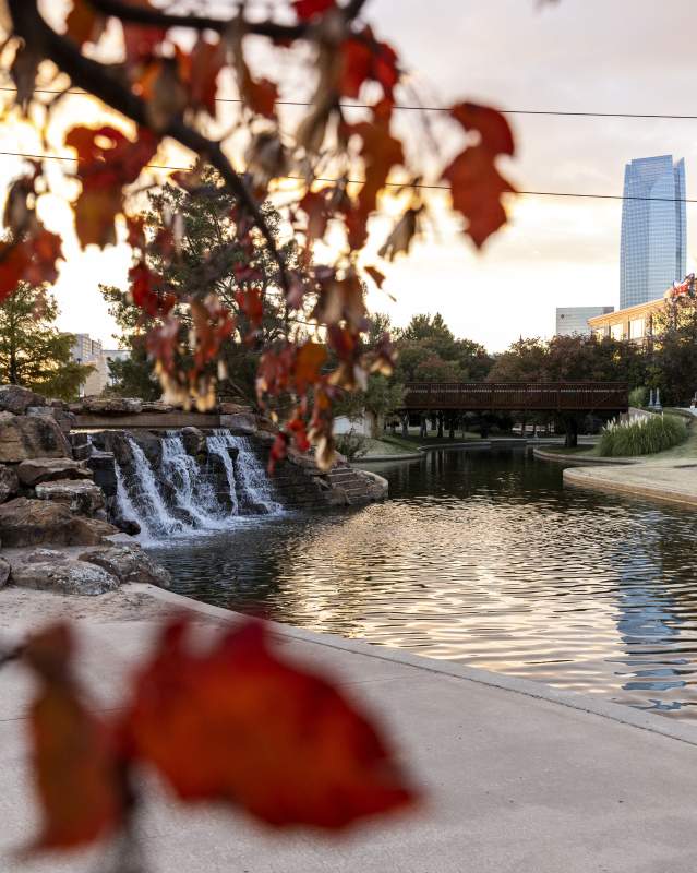 Fall foliage