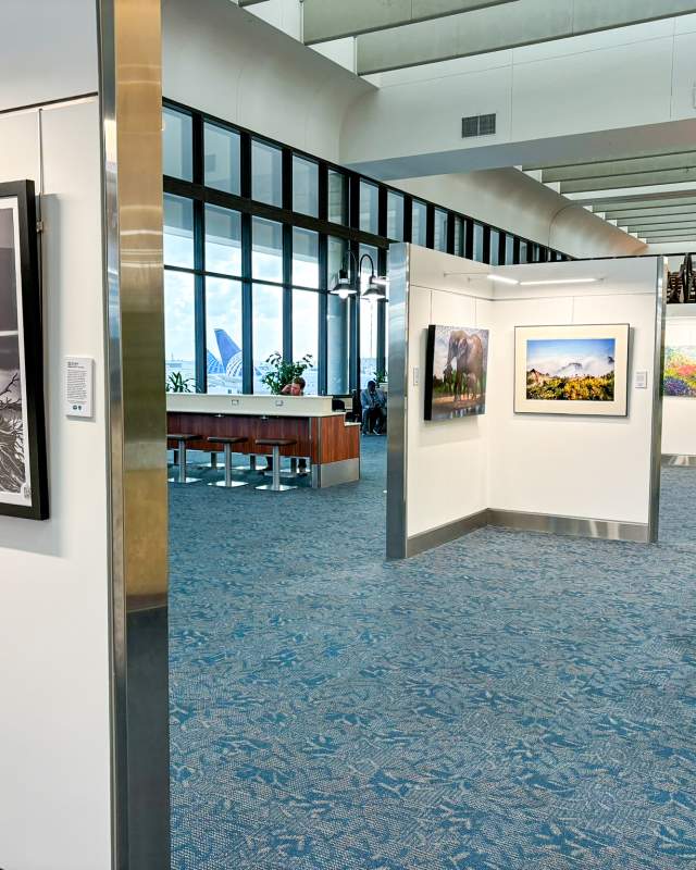 Along the Path Art Gallery