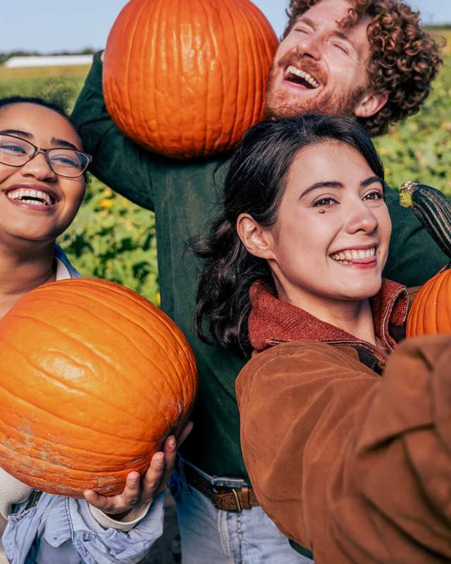 Friends taking a selfie with pumpkins in a field
