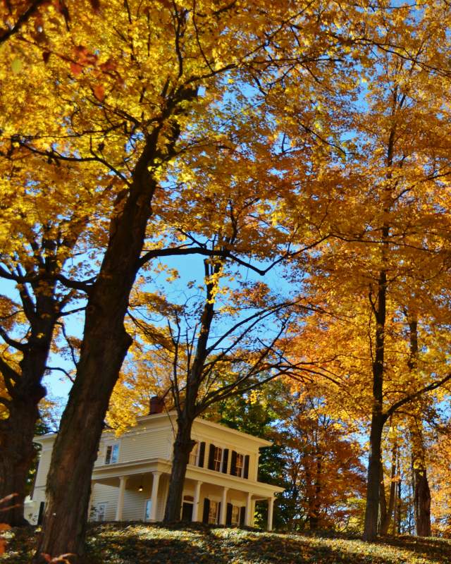 Van Raalte Farm in the fall