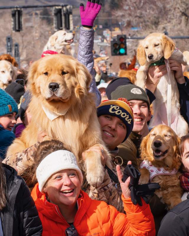 People holding up their dogs for the group photo shoot at Goldens in Golden