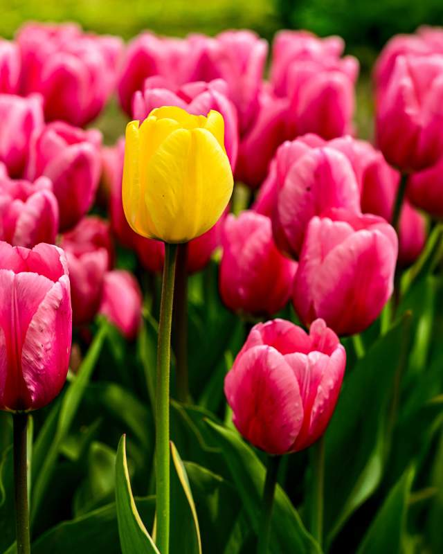 2026 Visitors Guide Hero Image