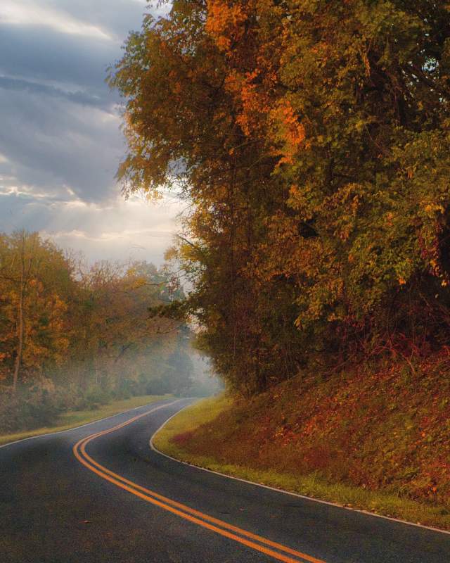 Fall Road