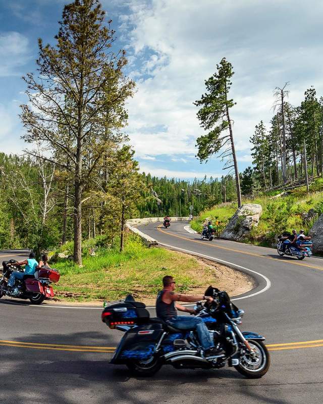 motorcycles taking the turns of needles highway in custer state park