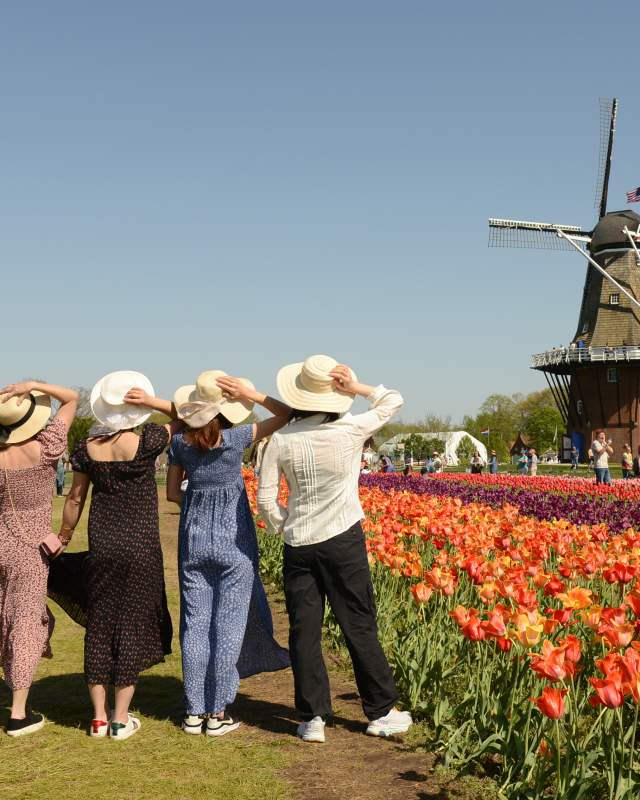 Women with hats in the tulip fields at Windmill Island Gardens