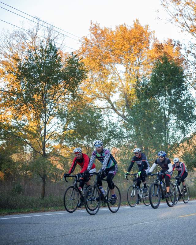 Biking group down fall road