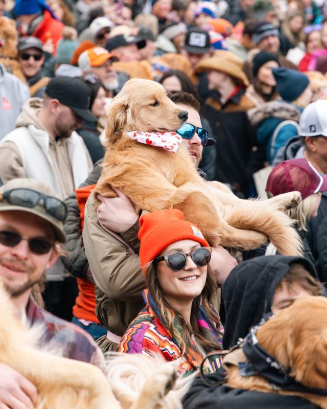 Golden Retriever being held up in the crowd for the group photos at Goldens in Golden 2025