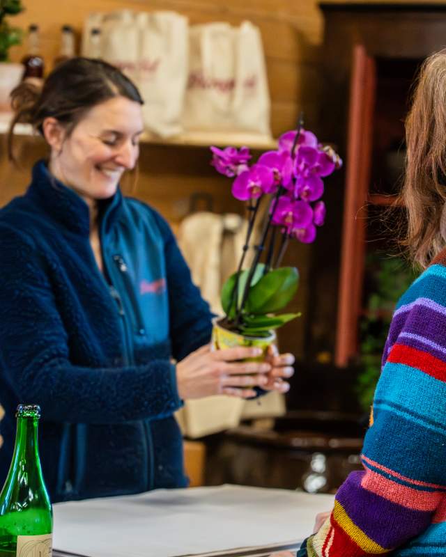 Ringvold Botaniske - Gode og lokale opplevelser