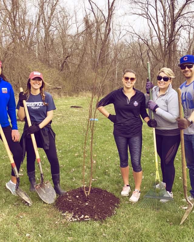 Group planting a tree