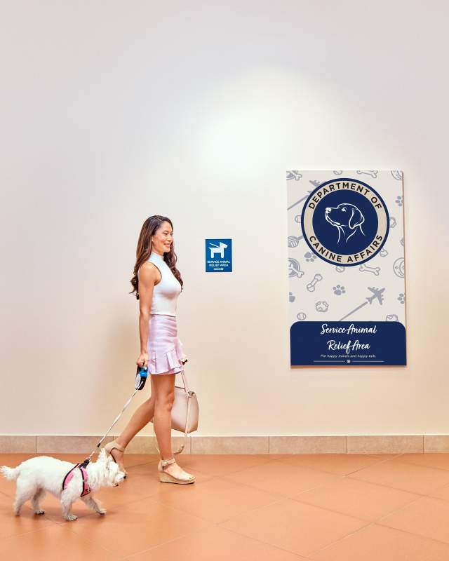 Lady walking dog in the terminal.