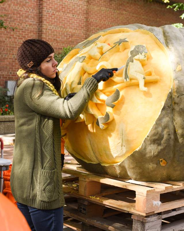 Giant Pumpkin Carving Downtown Holland, Michigan during Fall Fest