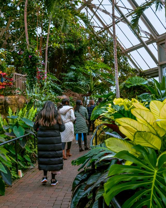 Colorful foliage inside of Franklin Park Conservatory