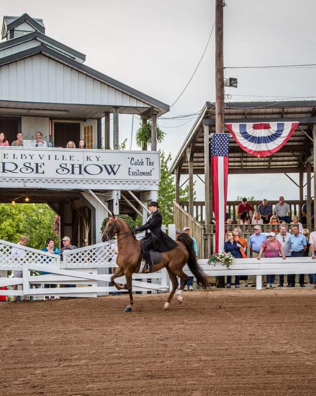 Horse Show