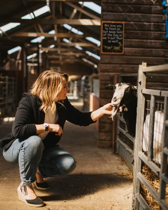 A woman knelt down petting a goat in an indoor farm barn