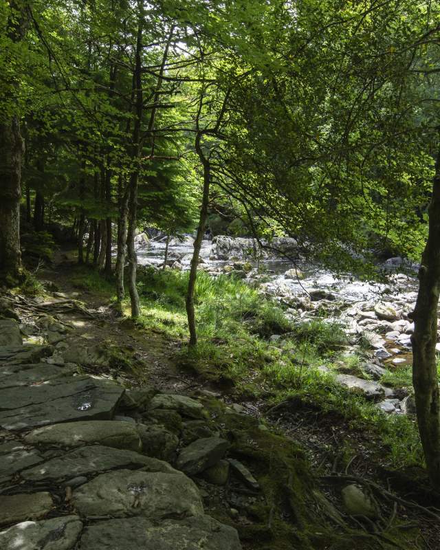 Pont y Pair Walk