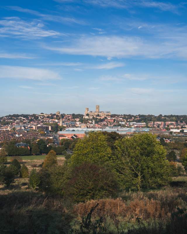 Landscape of south common with trees and rural housing with Lincoln Cathedral in distance