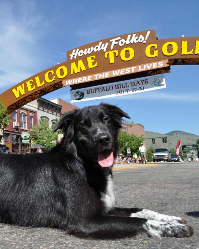 Dog-Friendly Golden, Colorado | Things To Do & Restaurants
