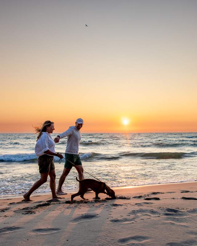 Sunset Couple