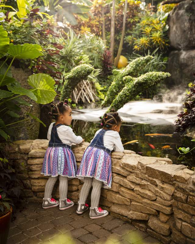 Twin girls watching fish swim among topiaries at the Franklin Park Conservatory and Botanical Gardens
