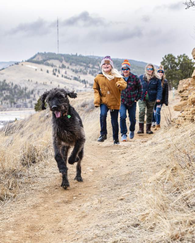 family hiking the trails of skyline wilderness area with dogs