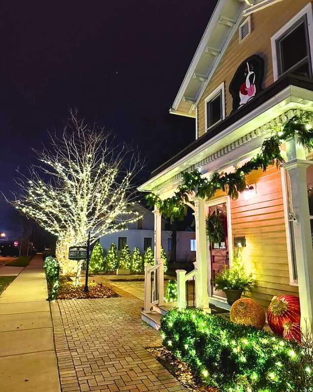 Harvey's Tale - Christmas Time