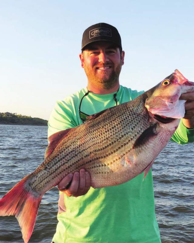 Kaw Lake Hybrid Striped Bass Fishing Record