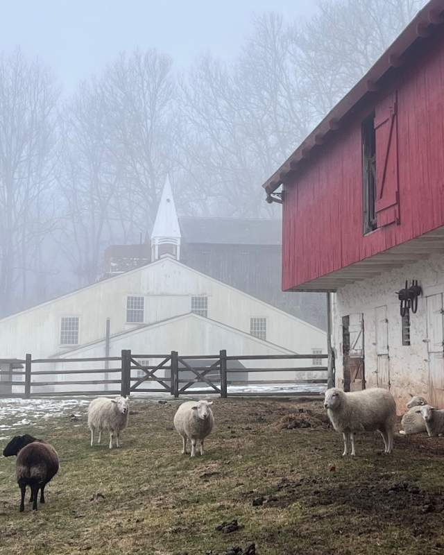 Hopewell Furnace Winter