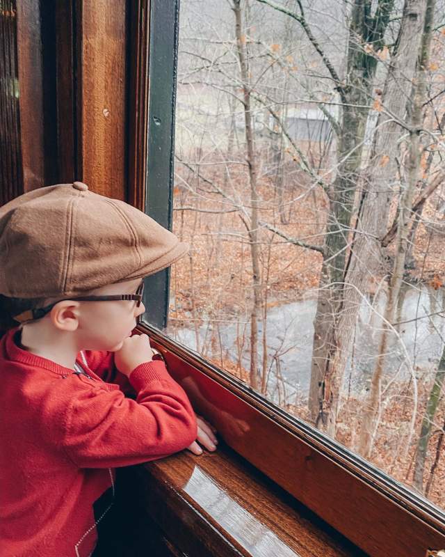 boy in a red sweater with a hat and glasses looks out the window of the train. The trees have no leaves on them.