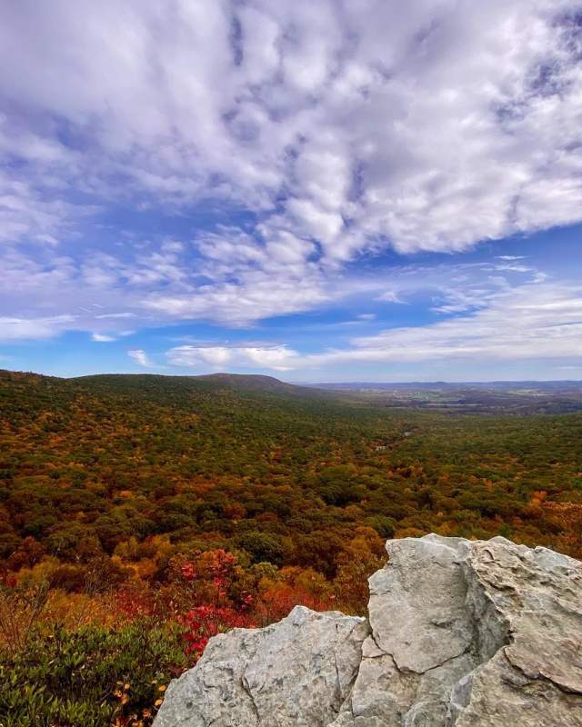 Hawk Mountain Fall