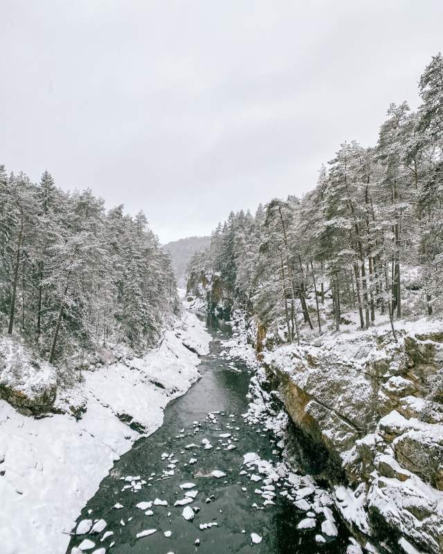 Utsikt over elva og skogen sett fra broa ved Sølvstufoss. Foto.