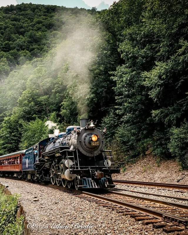Reading Blue Mountain & Northern's 425 train driving through the lush greenery of Berks County