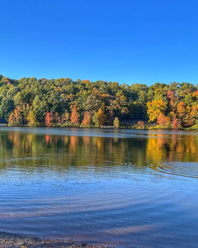 Hawk Mountain Fall