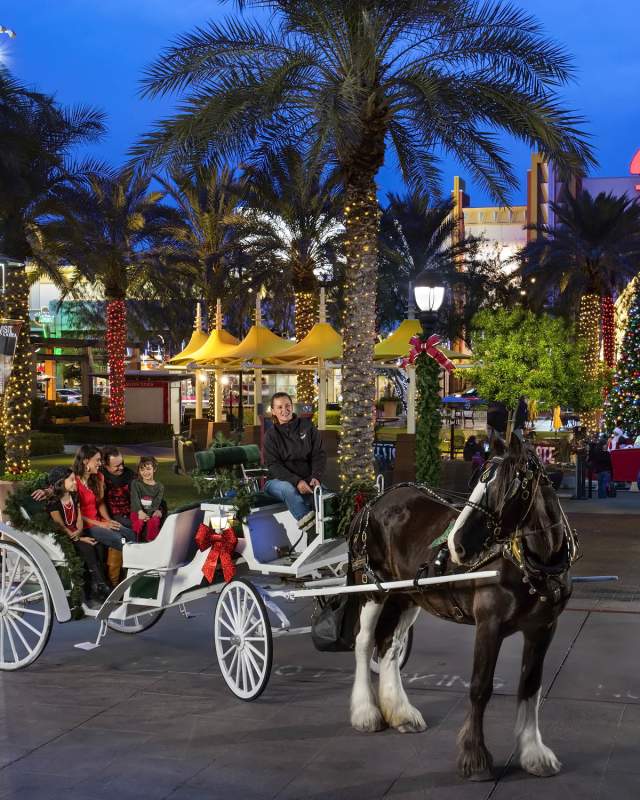 Glendale Holidays