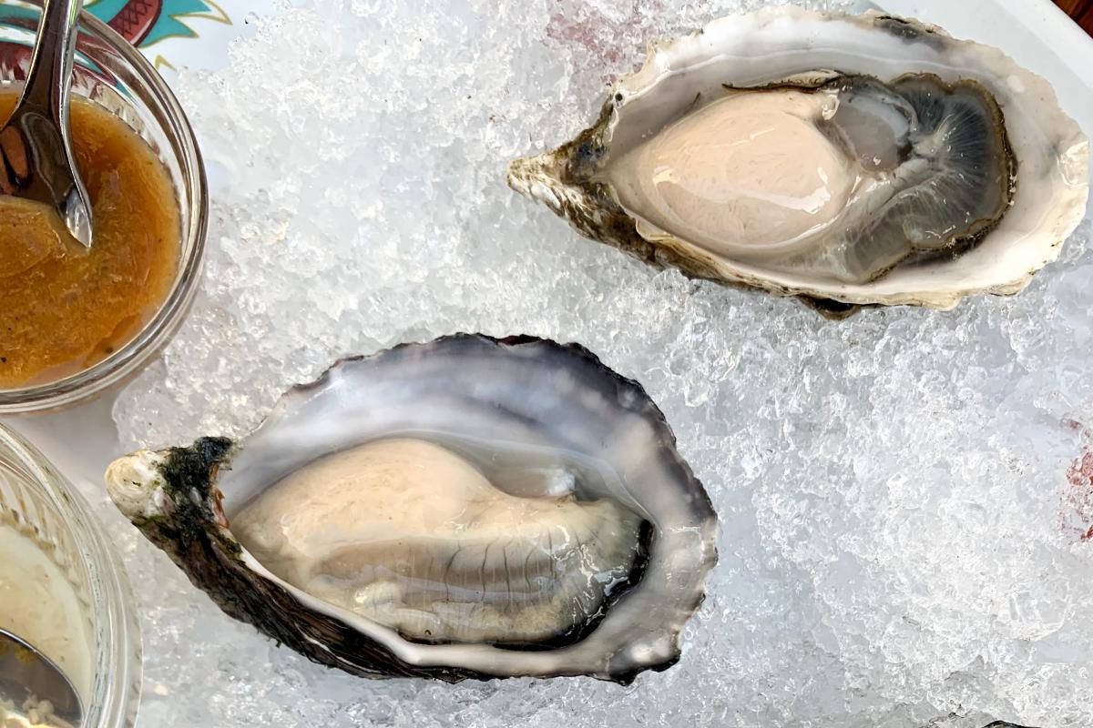Party Bar downtown oyster