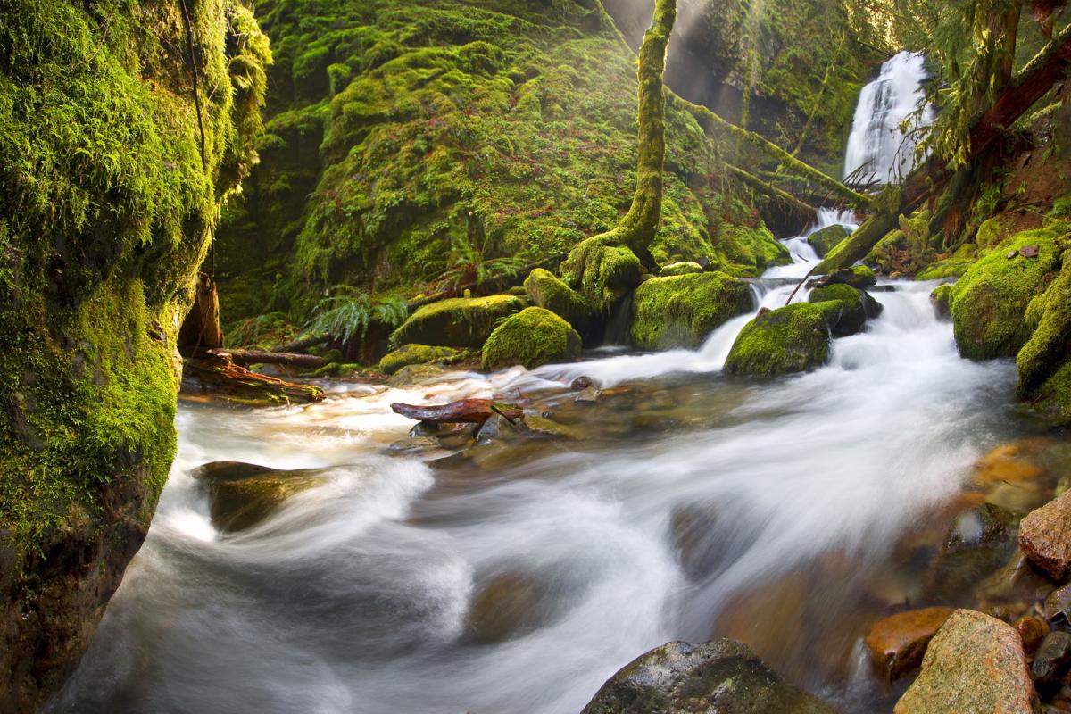Bridge Creek Rush by David Putzier