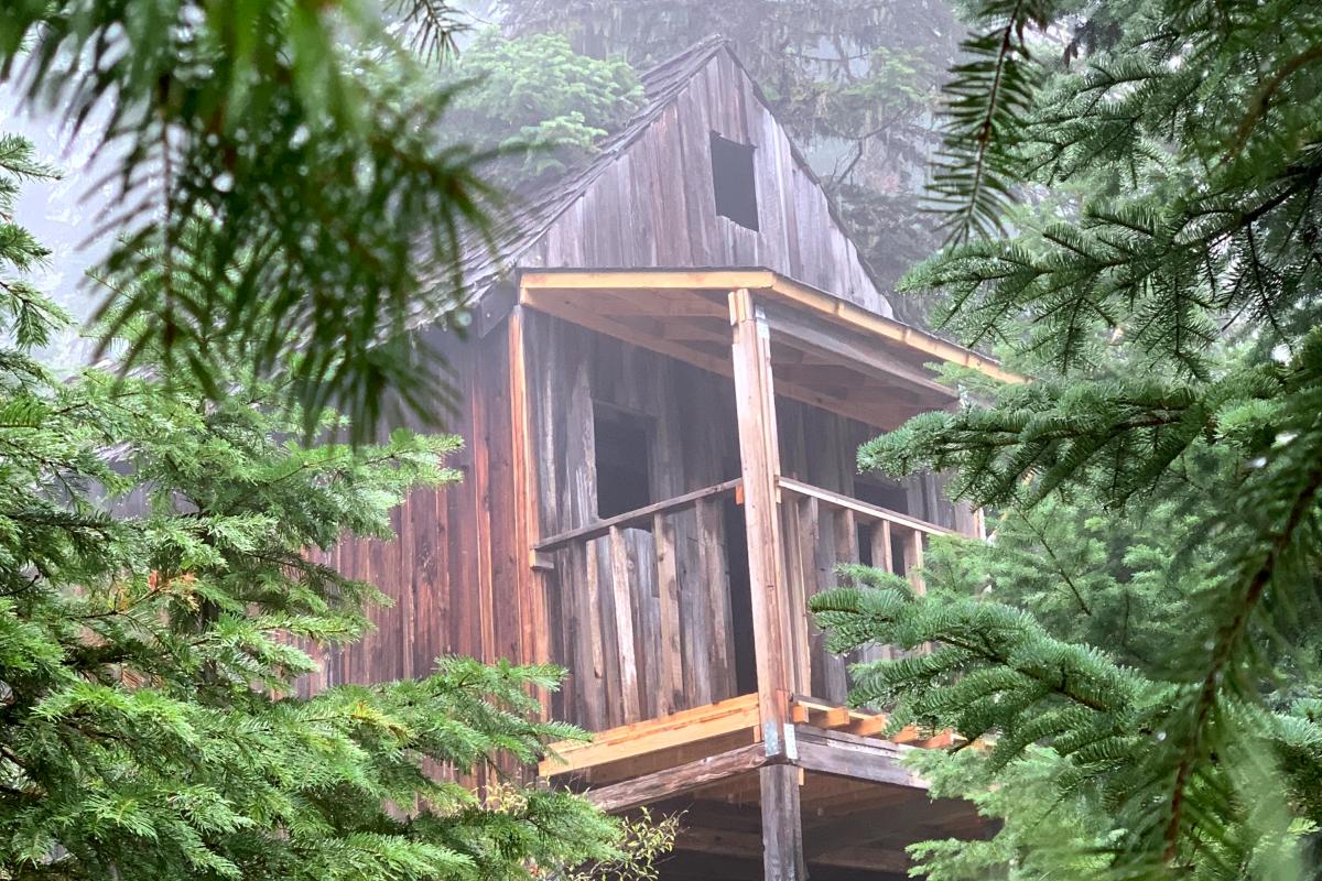 A rickety wooden cabin sits in the fog and trees.